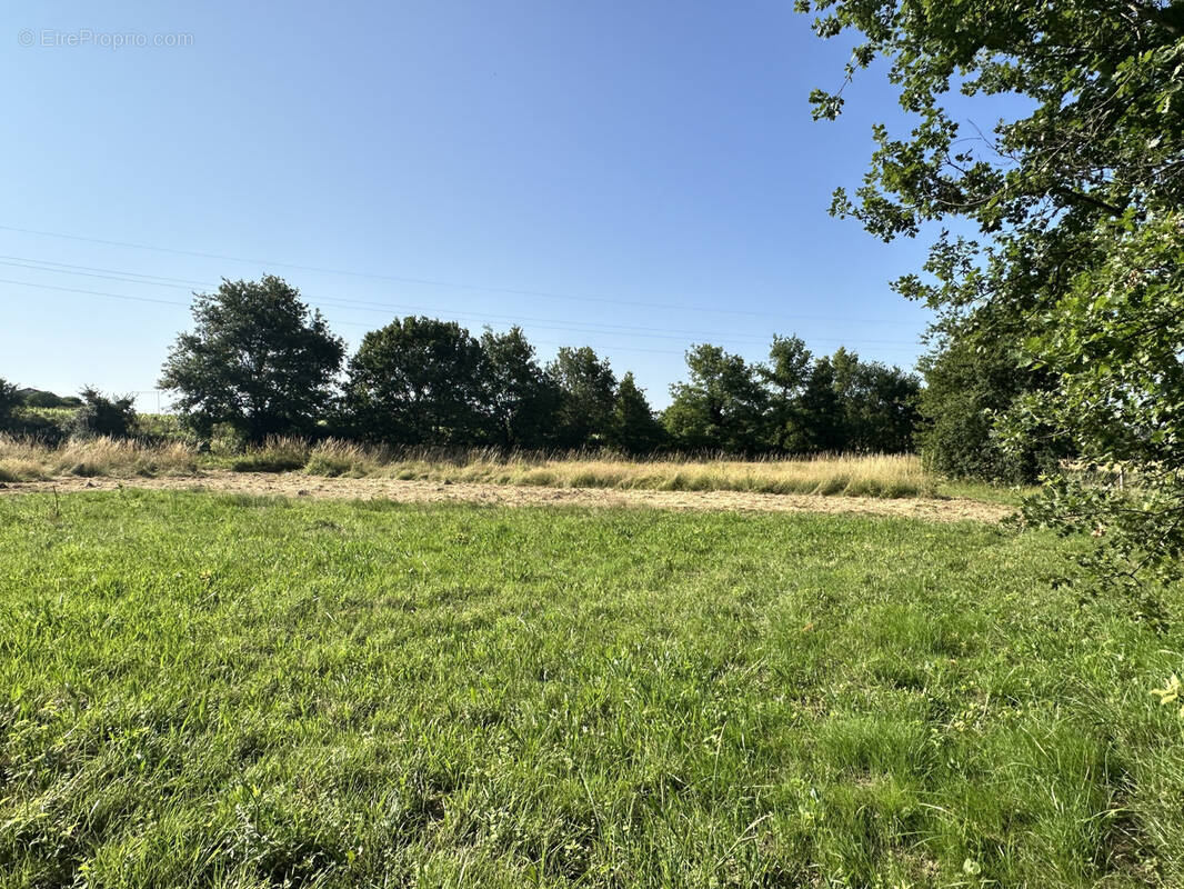 Terrain à CUNAC