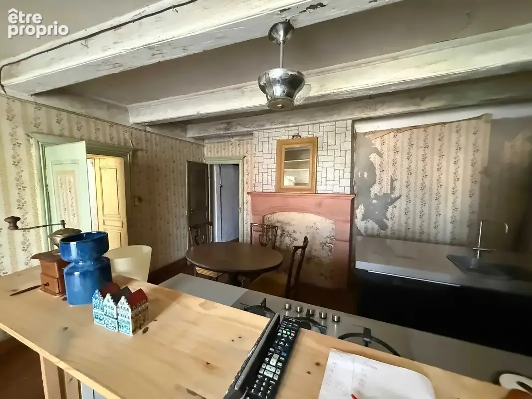 Belle et ancienne grande maison authentique et indépendante - photo 13
