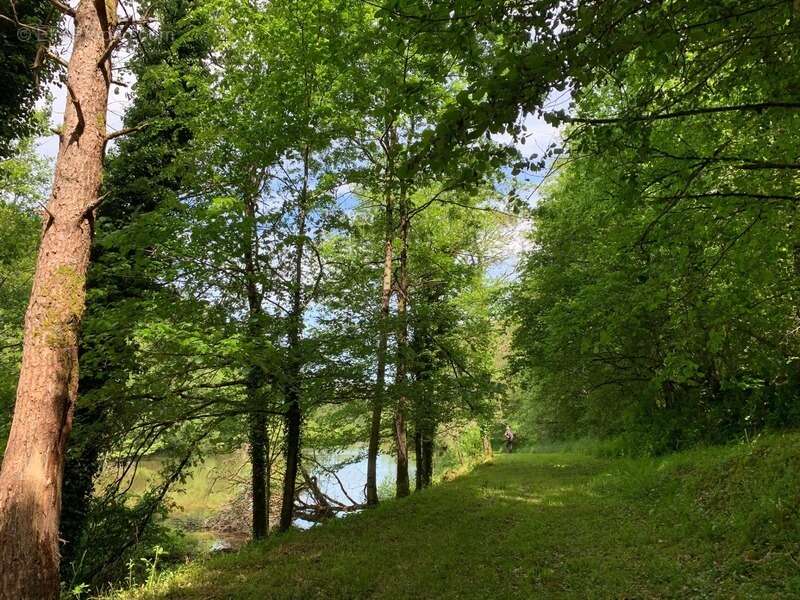 Terrain à PRESSIGNAC