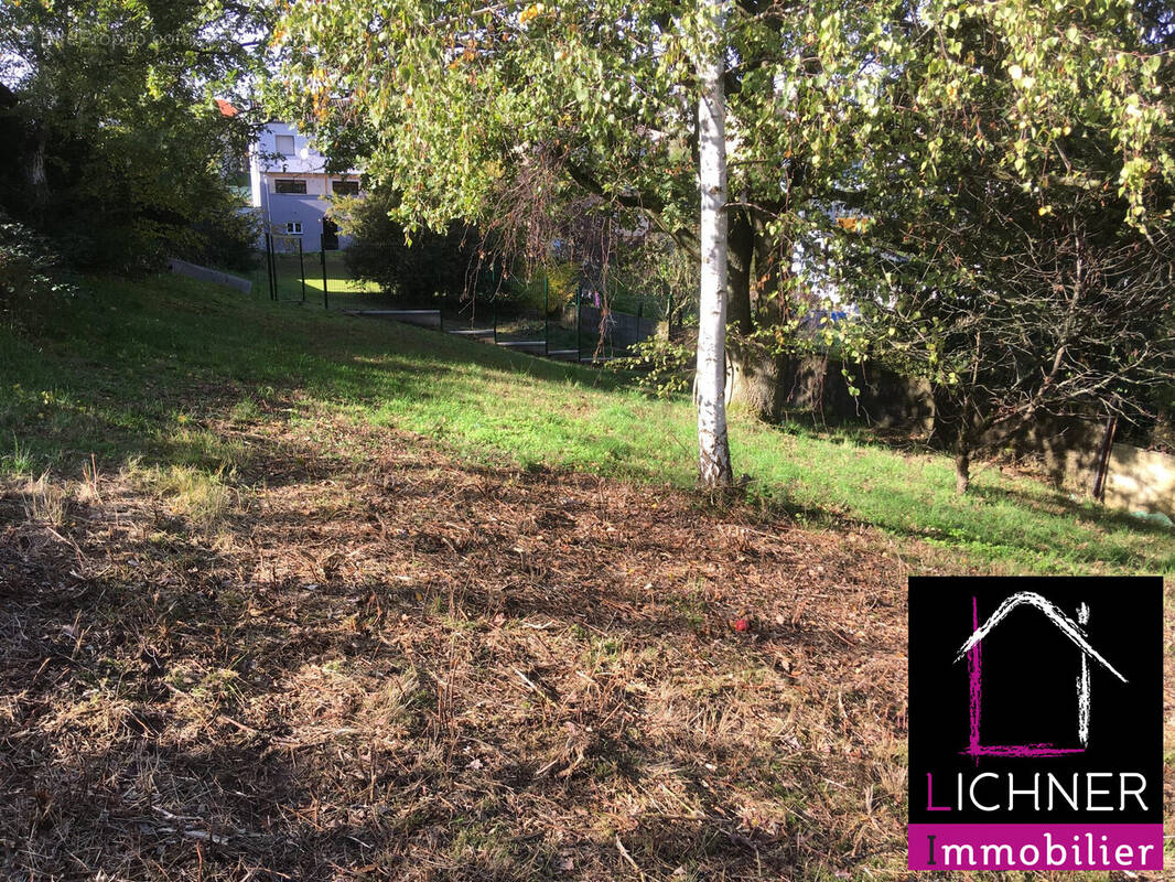 Terrain à L'HOPITAL