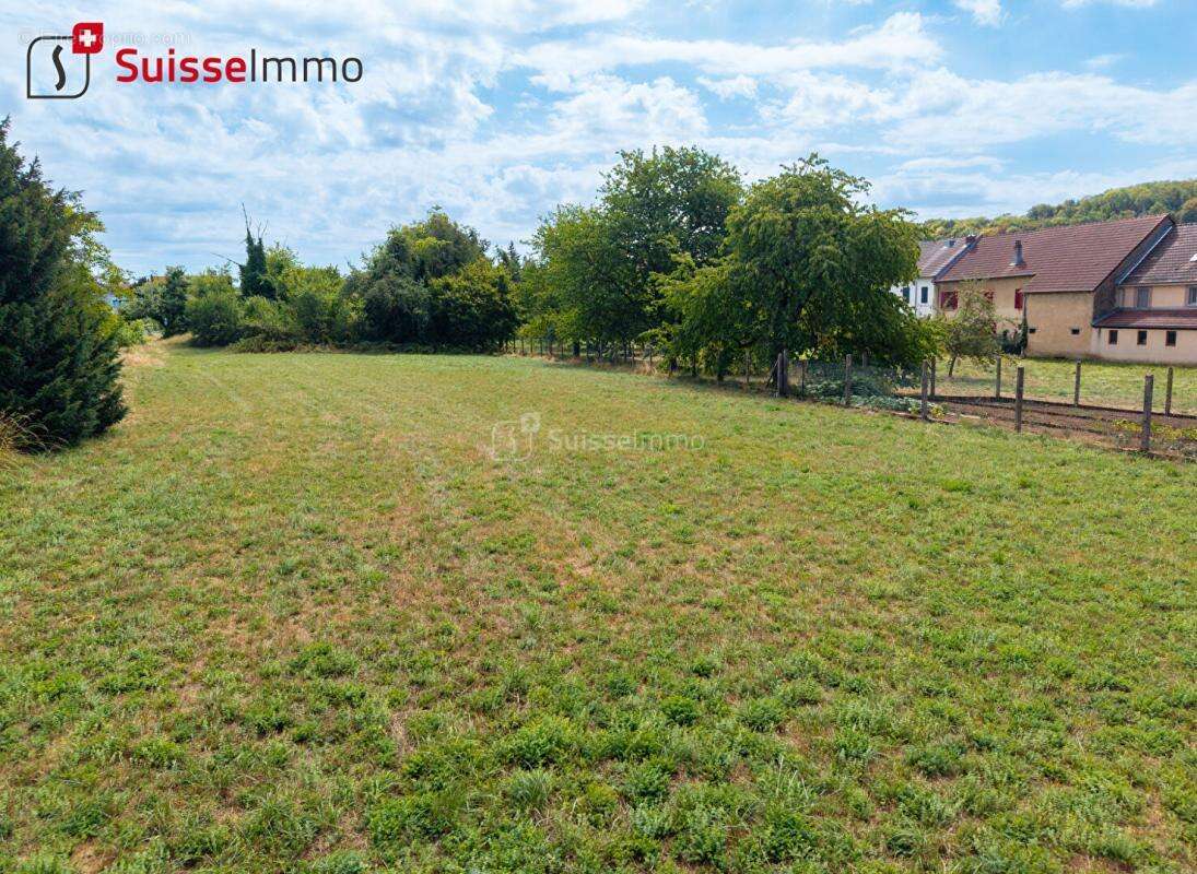 Rare à la vente : terrain constructible 33,5 ares centre de Grand-Charmont - photo 3