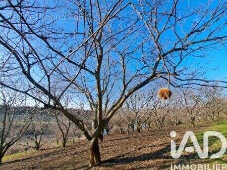 Photo 3 - Terrain à OZON