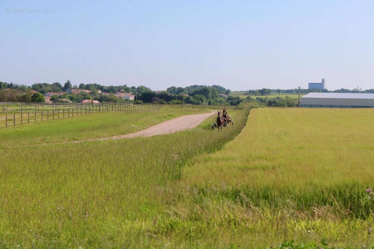 Photo 5 - Maison à LES EGLISES-D&#039;ARGENTEUIL