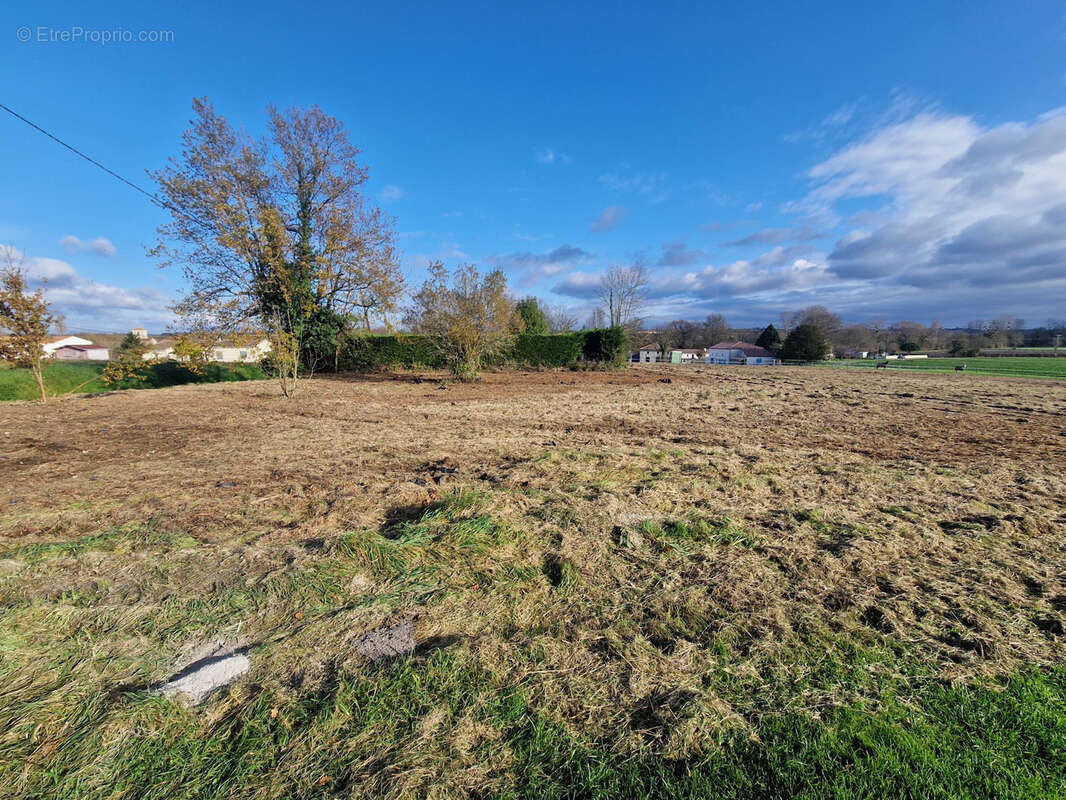 Terrain à SAINT-CIERS-DU-TAILLON