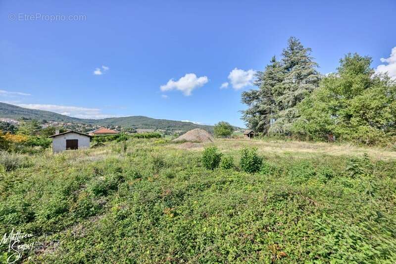 Terrain à POLLIONNAY