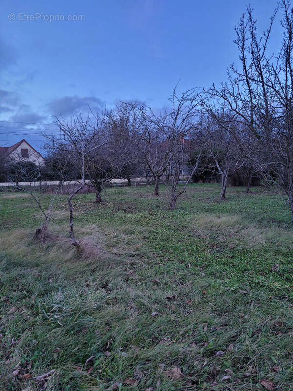Terrain à LOUCHY-MONTFAND
