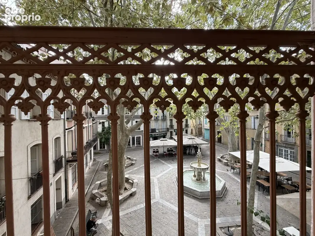 Céret centre   f2 de caractère, raffiné et intemporel - photo 2