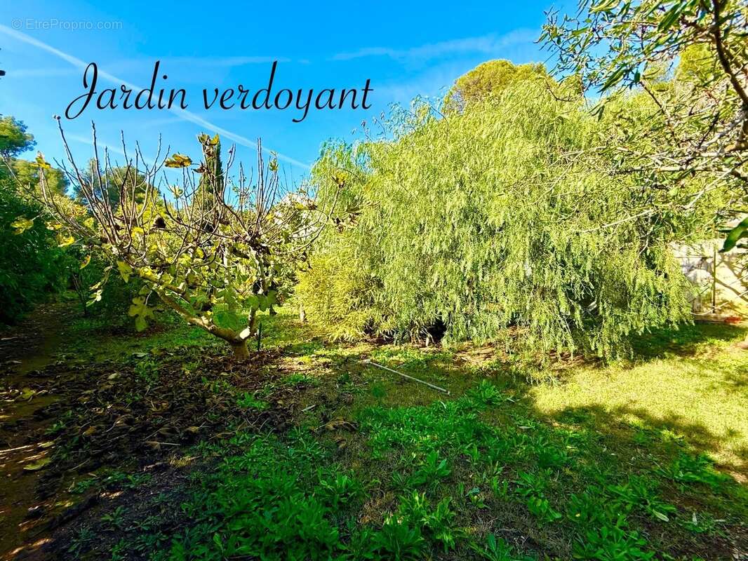 Maison à LA SEYNE-SUR-MER