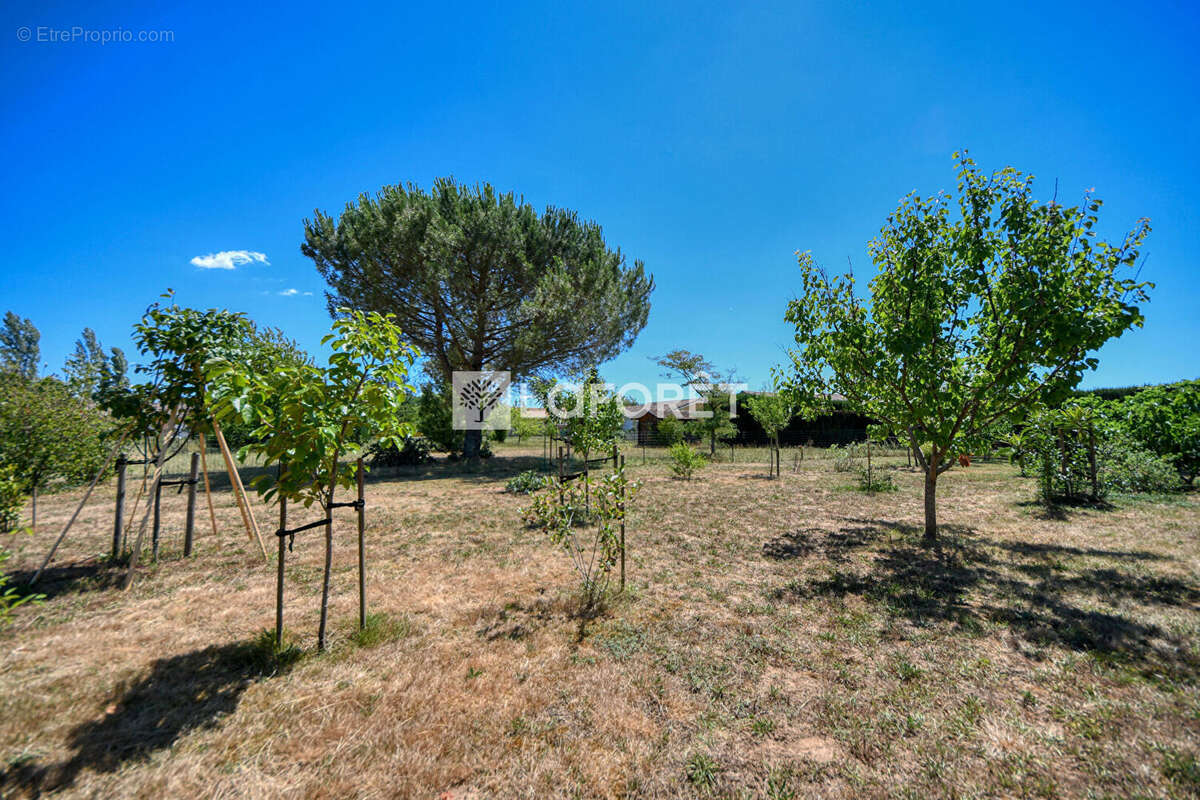 Jolie propriété de style provençal avec piscine à vendre à Lisle-sur-Tarn - photo 12