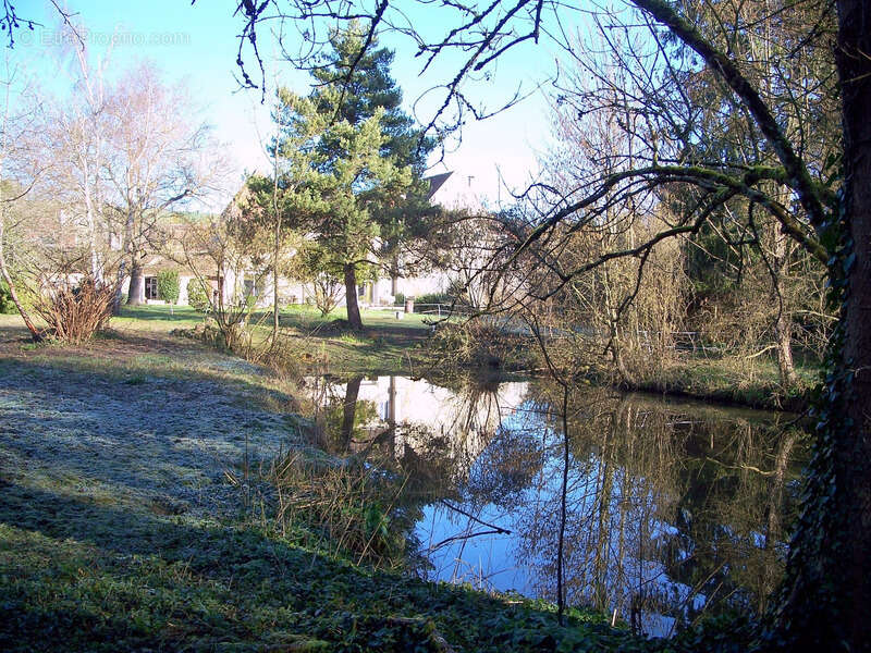 Maison à THORIGNY-SUR-OREUSE