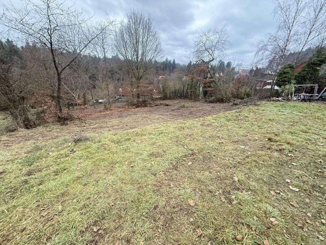 Terrain à OBERHASLACH