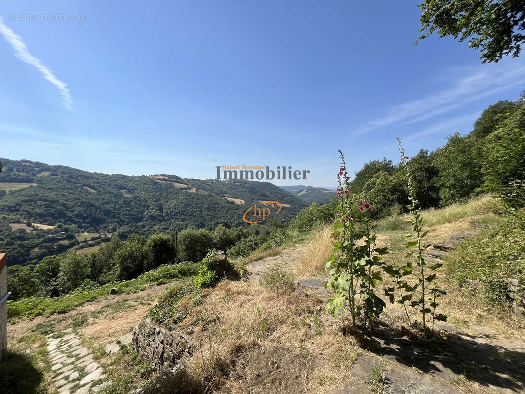 Vente Ayssènes, Vallée du Tarn, Propriété sur 2 hectares 9558 m2. - photo 25