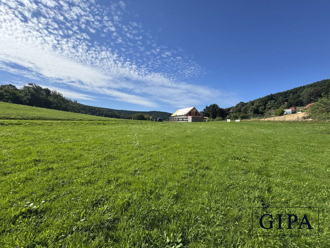 Terrain à LE HOHWALD