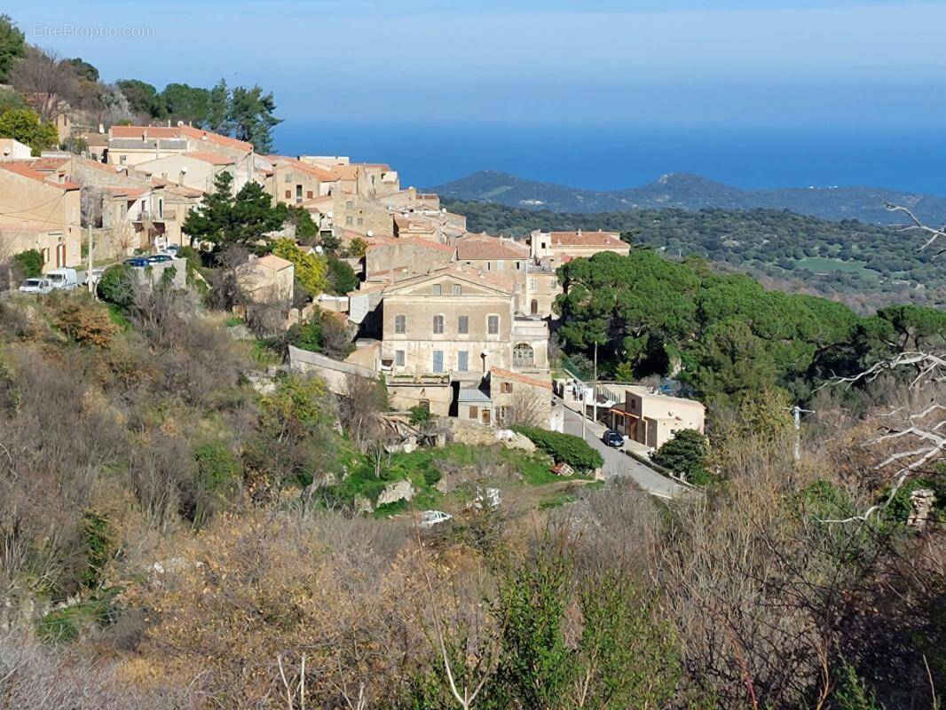 Terrain à VILLE-DI-PARASO