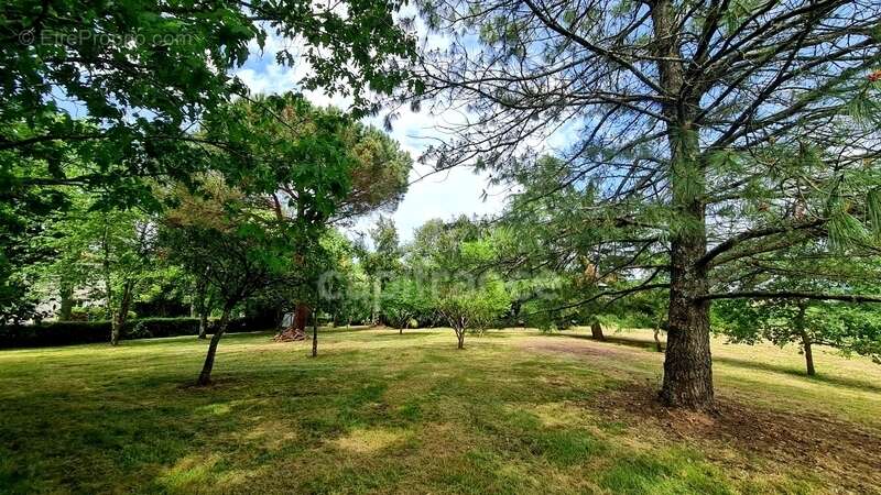 À vendre : Propriété à restaurer, à 10 mn d'Auvillar, d'environ 240 m2 habitables, sur terrain de 7400 m2  (82) - photo 22