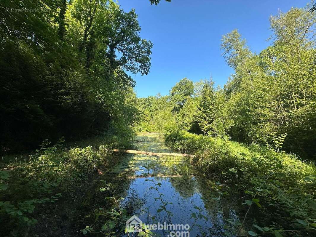 Profondeur d'environ 1m20 - Terrain à PARFONDRU