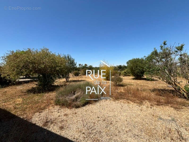 Maison  plain pied Saint Loup Lamaire 4 pièce103 m2 - photo 10