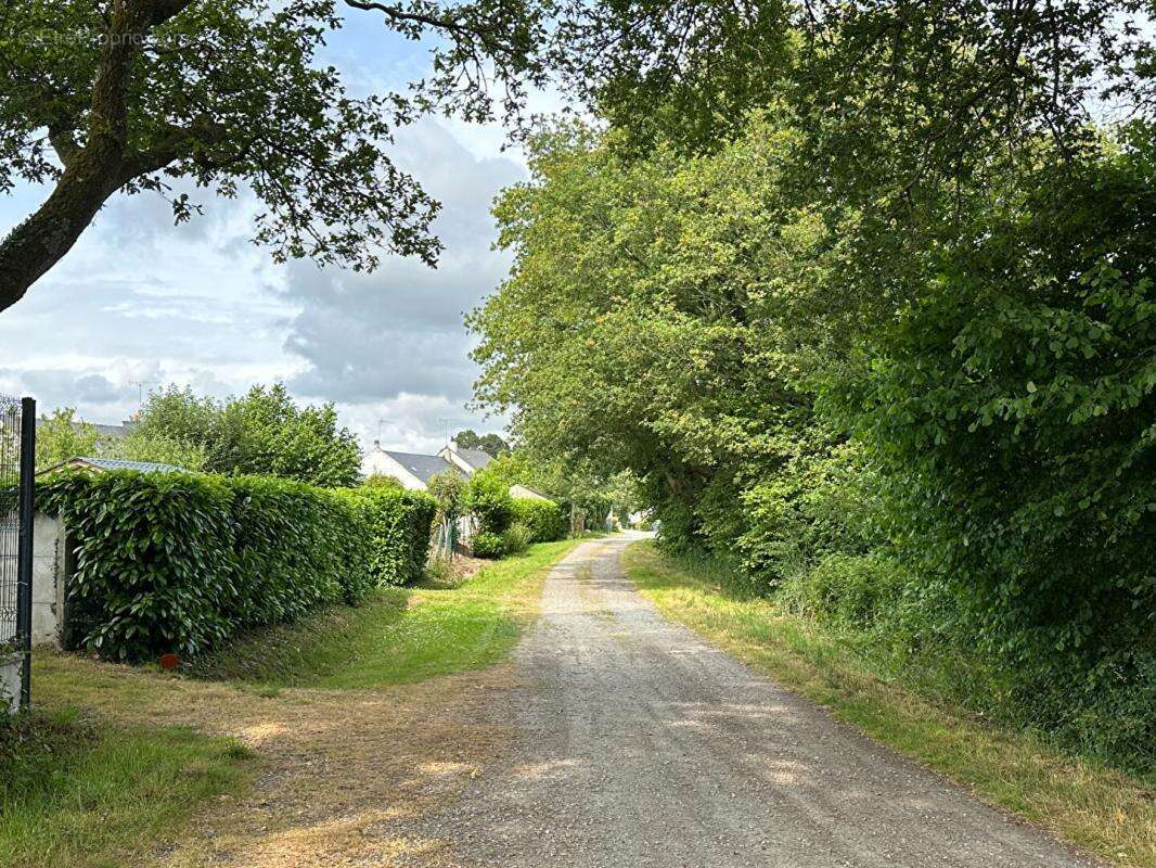 Terrain à HERBIGNAC