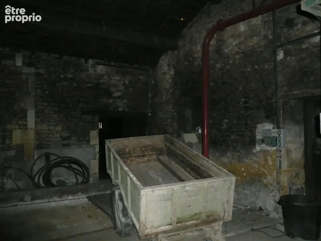  BURIE (17) A Vendre CORPS de FERME et Ses Nombreuses Dépendances  - photo 50