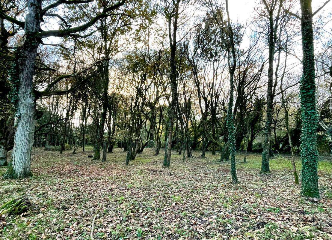 Terrain à BOISGERVILLY