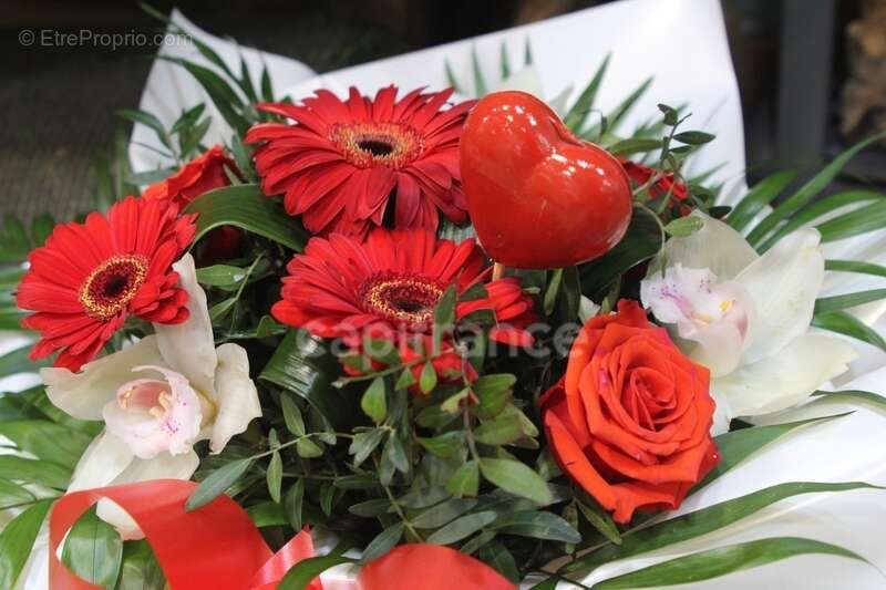 Commerce à VENTABREN