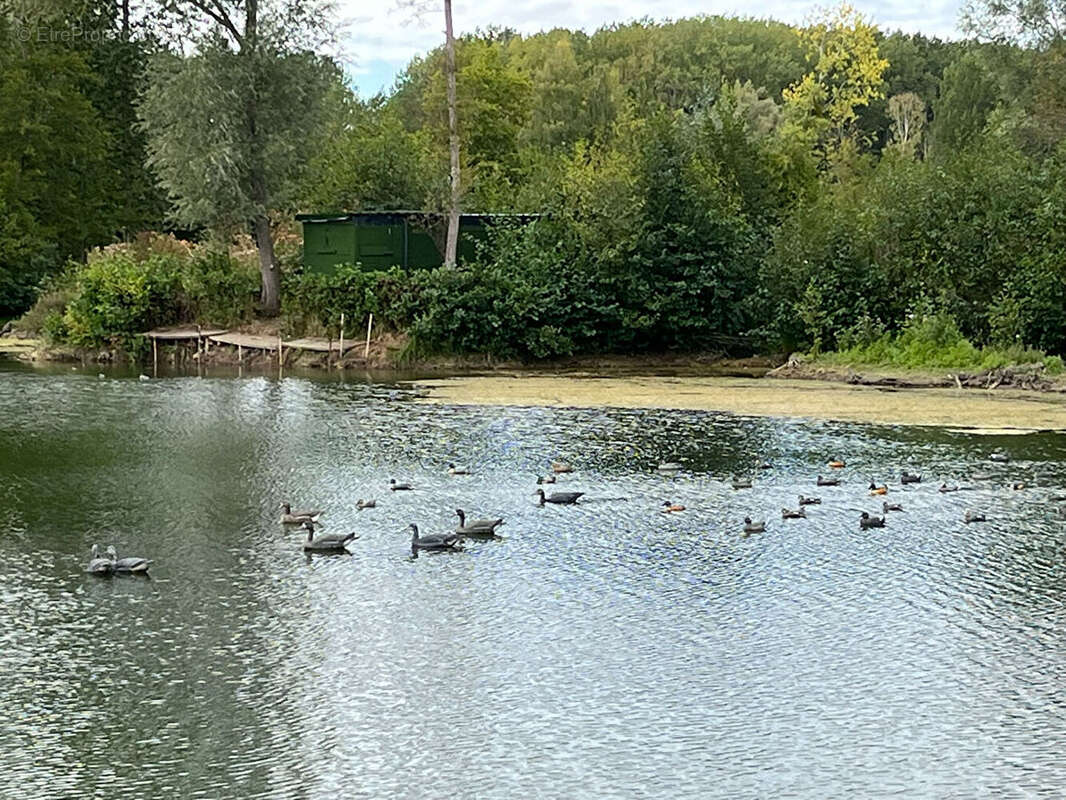 Terrain à ALAINCOURT