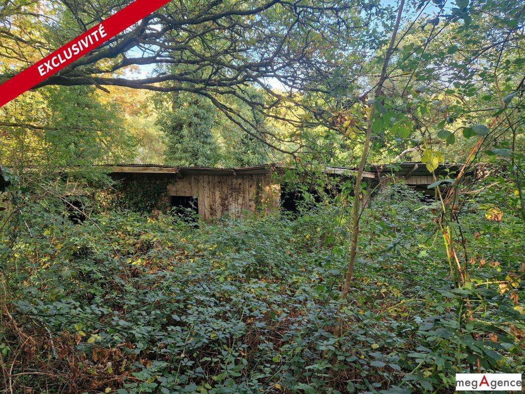 Terrain à MONTENEUF