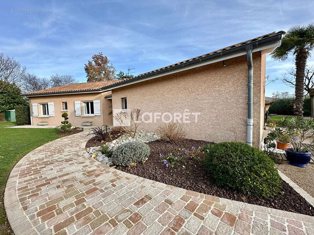 Maison à SAINT-ANDRE-LE-BOUCHOUX