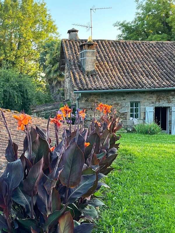 Maison à MAZEROLLES