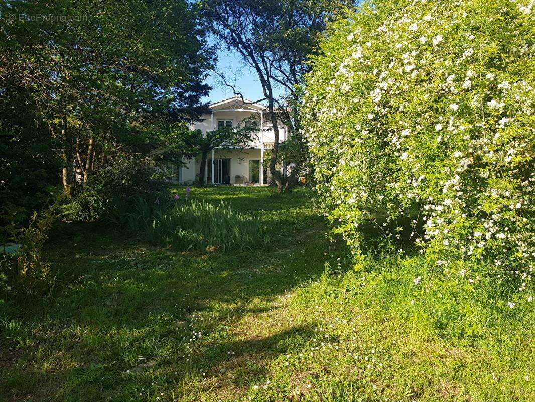 Maison à SAINTE-EULALIE