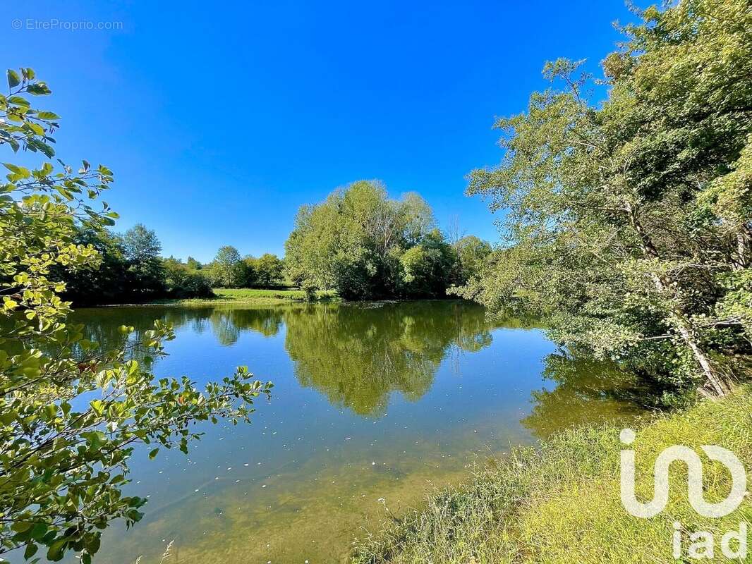 Photo 9 - Terrain à POULIGNY-SAINT-PIERRE