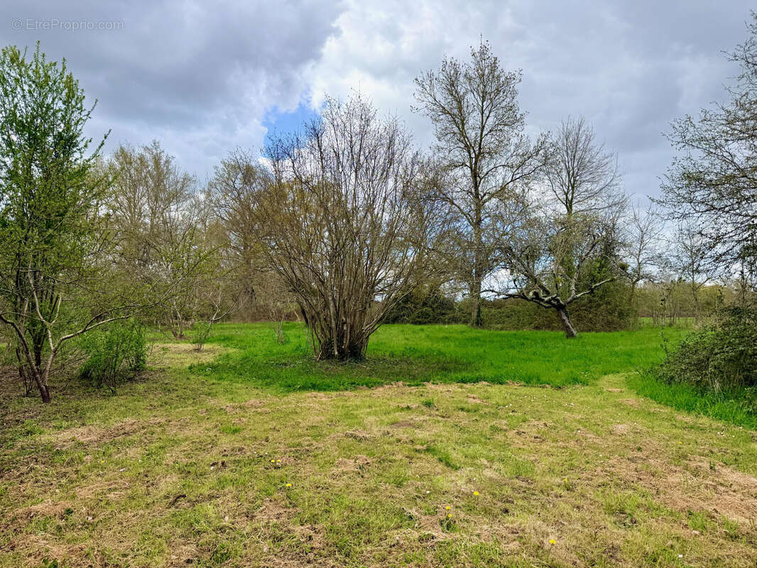 Maison à MONTIGNE-LES-RAIRIES