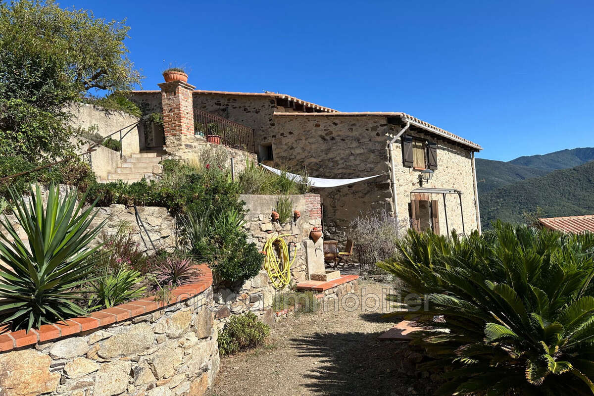 Maison 295 m² à Montbolo  - photo 2
