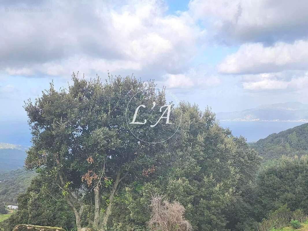 Terrain à COTI-CHIAVARI