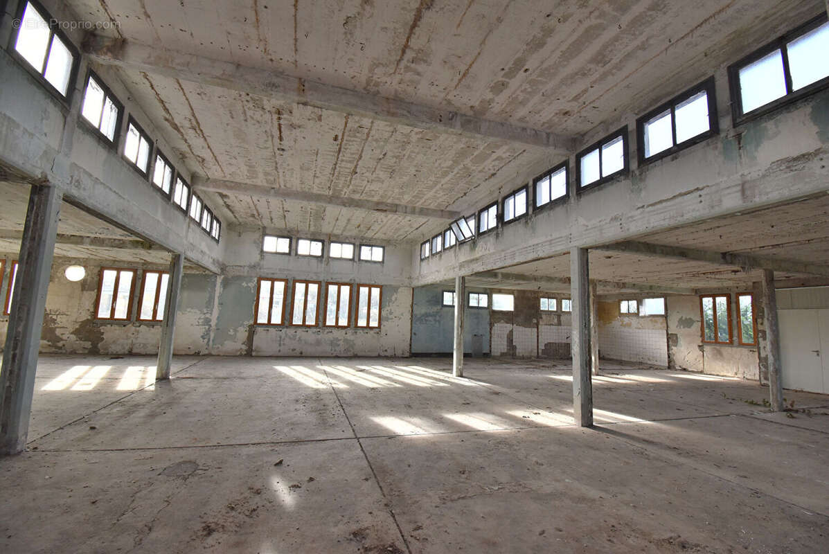 Commerce à SAINT-LEGER-SOUS-BRIENNE