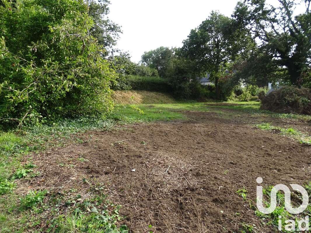 Photo 7 - Terrain à LOCRONAN