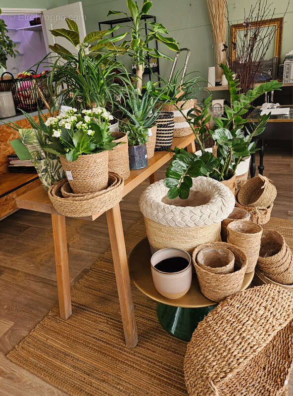 Commerce à TOURNON-SUR-RHONE