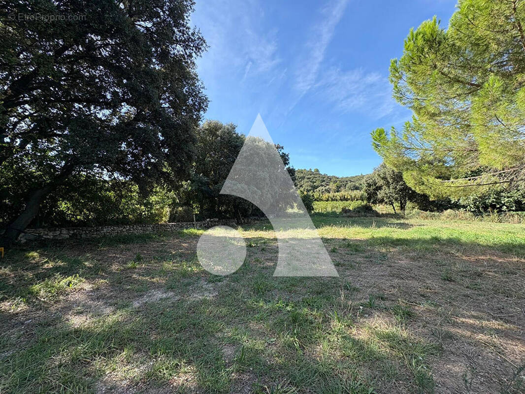 Terrain à LE POUGET