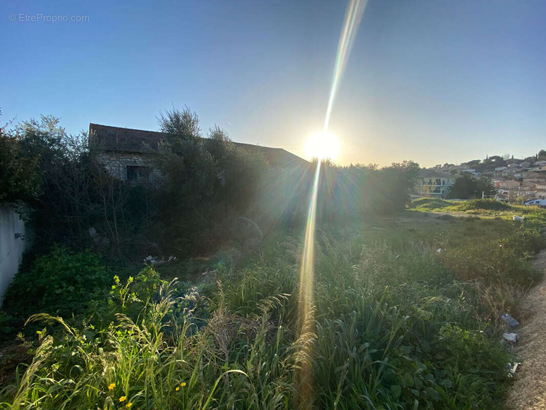 Terrain à PLAN-DE-CUQUES