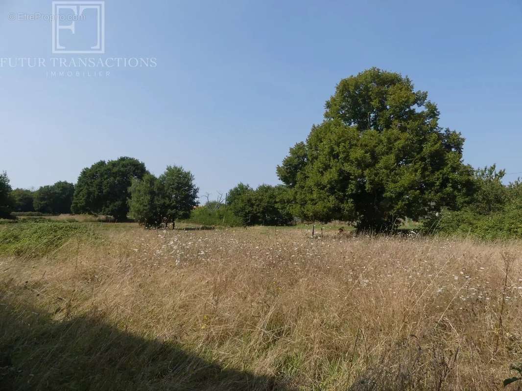 Maison à SAINTE-CROIX-DE-MAREUIL