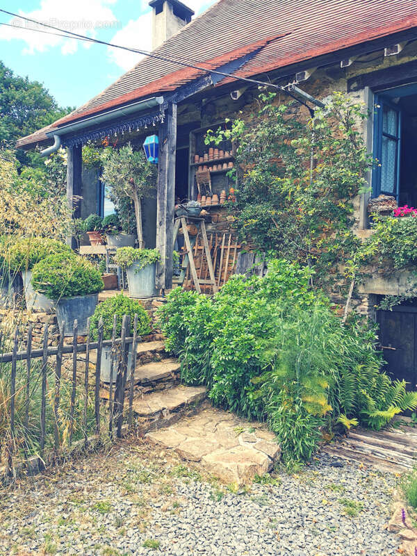 Maison d'artiste avec jardin botanique, source - Terrain 1,6 hectare - photo 40