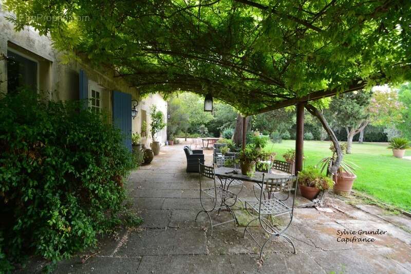 Propriete à vendre 7 pièces RAPHELE LES ARLES (13) 240m² évolutif sur 3300 m² avec piscine - photo 5