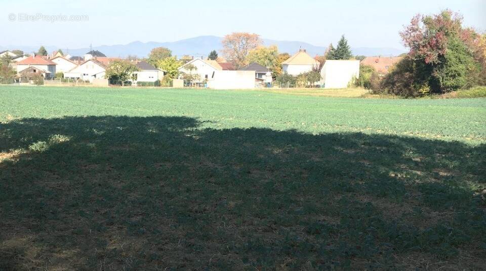 Terrain à MORSCHWILLER-LE-BAS