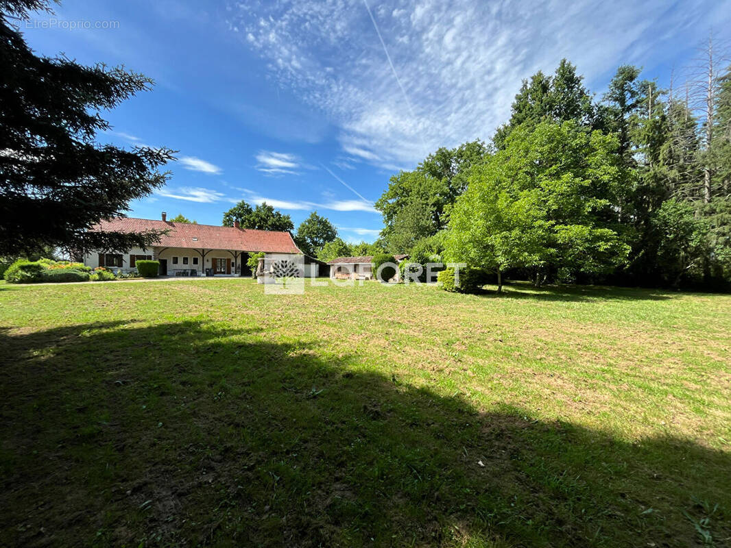 Maison à LOUHANS