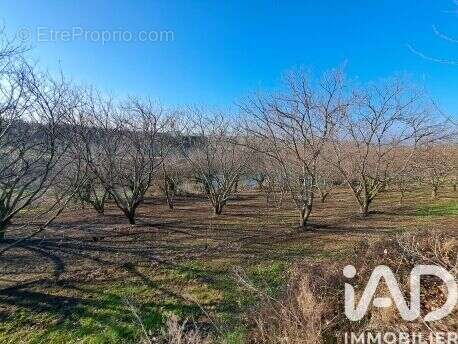 Photo 2 - Terrain à OZON