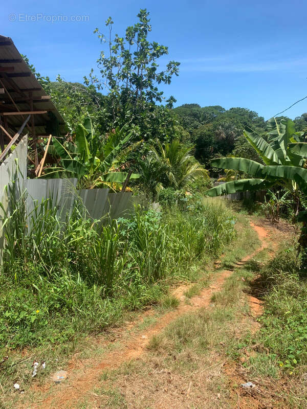 Terrain à REMIRE-MONTJOLY
