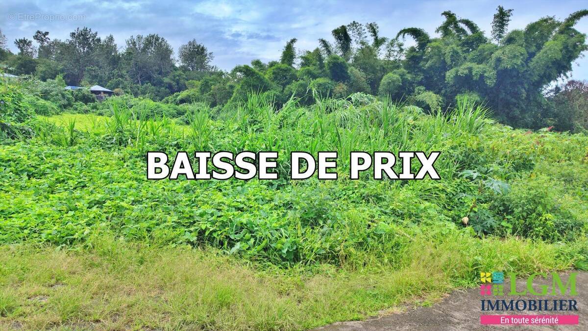 Terrain à LE TAMPON