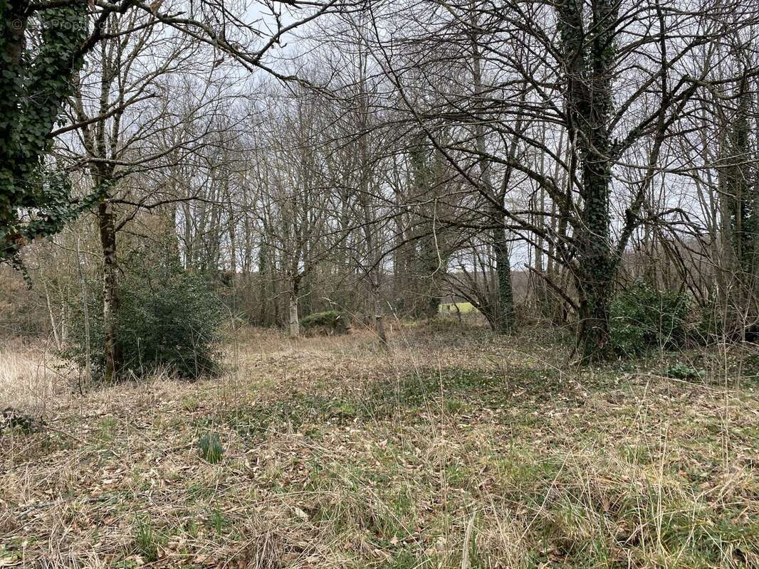 Maison à NEUVIC-ENTIER