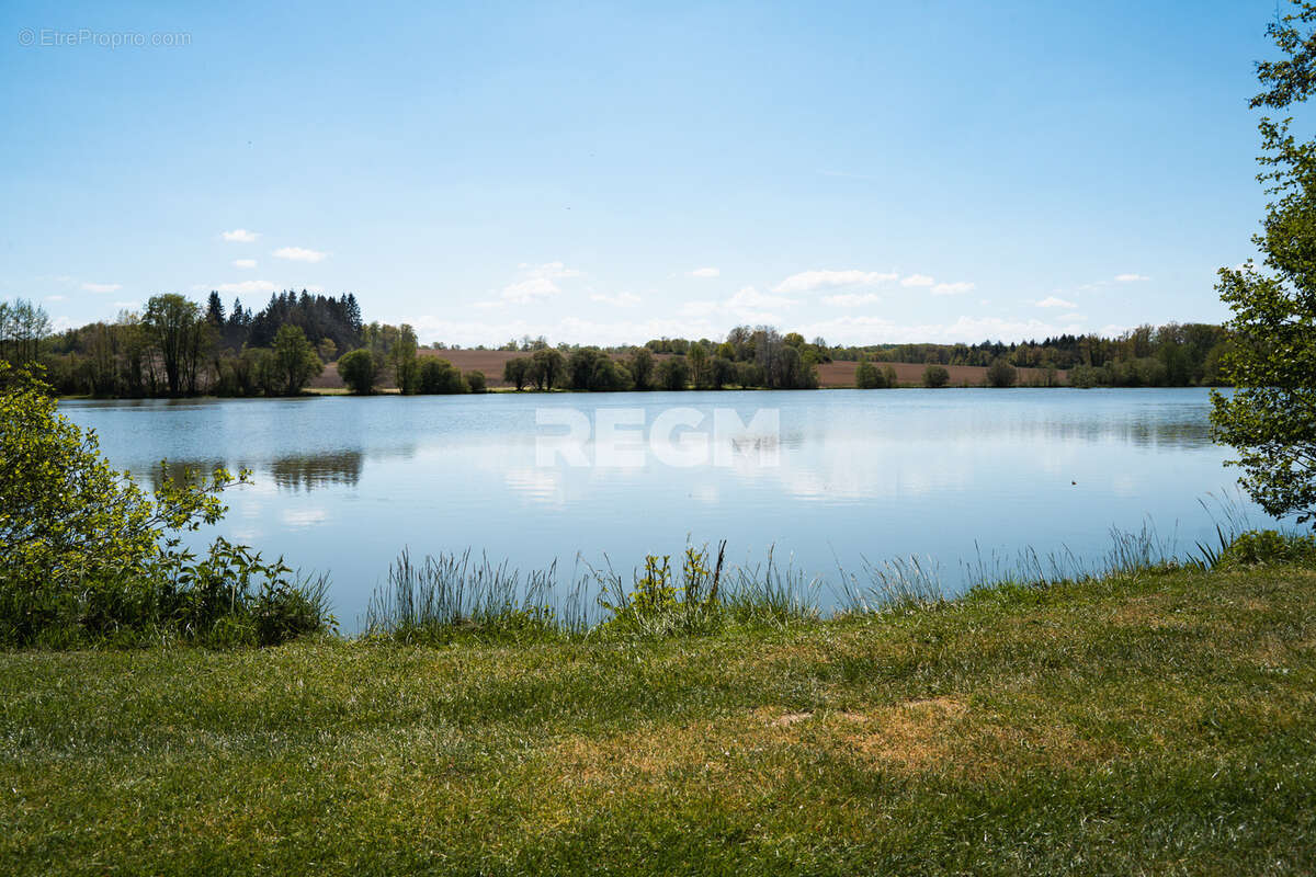 Domaine d’exception de 54,5 hectares avec maison de 300 m2, étang privé, piscine et 1 500 m2 de dépendances - photo 23