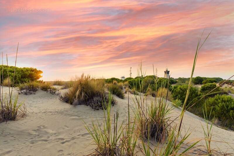 Commerce à LE GRAU-DU-ROI